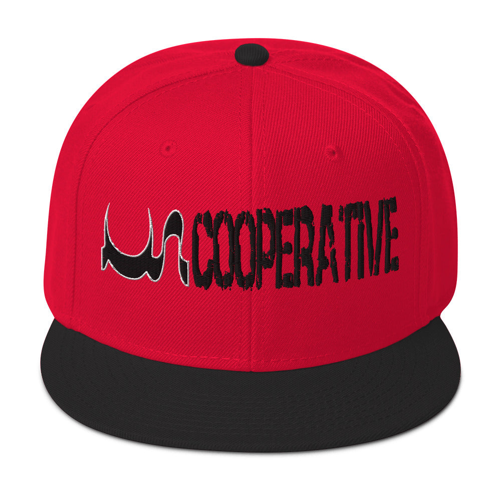 UN COOPERTIVE SNAPBACK IN 17 DIFFERENT COLORS