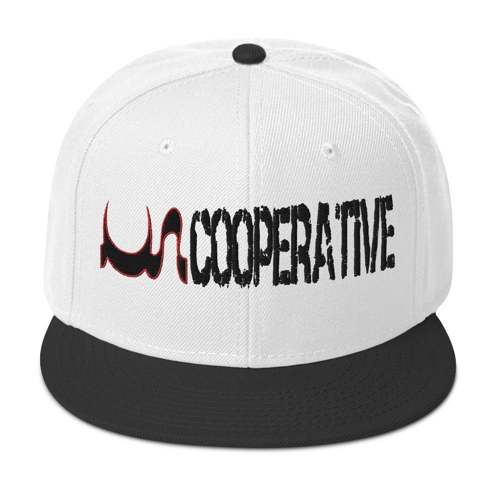 UN COOPERTIVE SNAPBACK IN 17 DIFFERENT COLORS