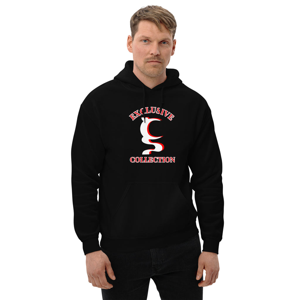 EXCLUSIVE UN COLLECTION UNISEX HOODIE IN 5 DIFFERENT COLORS