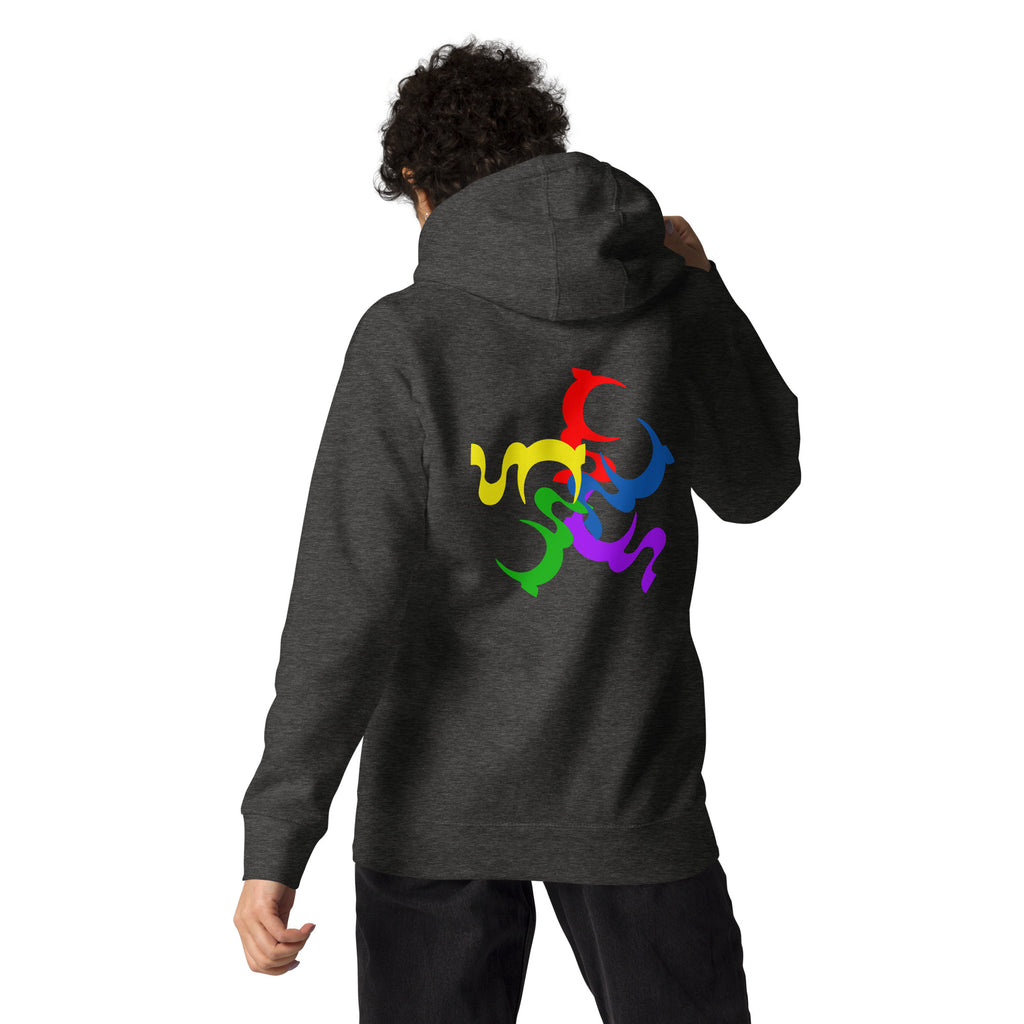 UNDERSTANDING MULTICOLORED UNISEX HOODIE IN 4 DIFFERENT COLORS