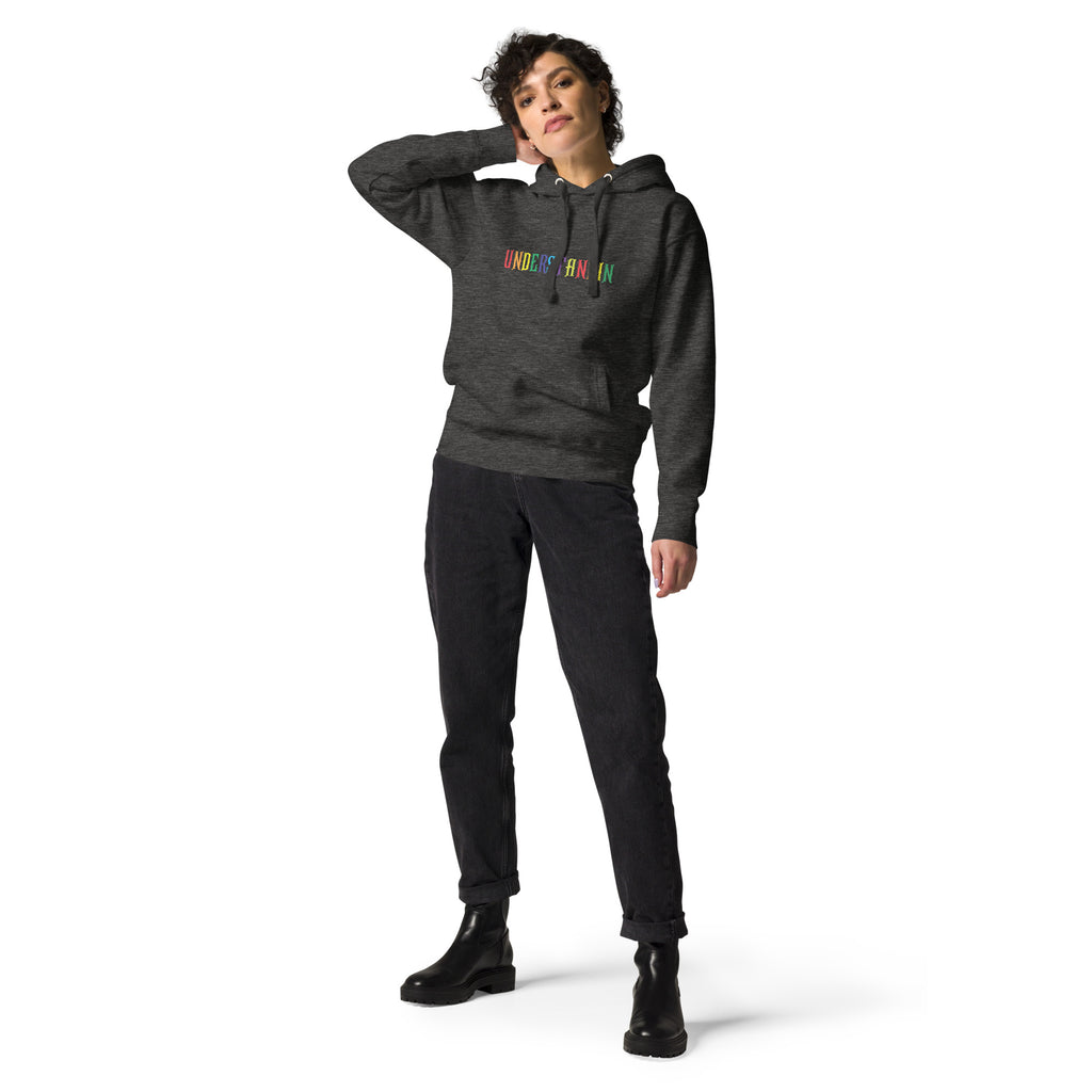 UNDERSTANDING MULTICOLORED UNISEX HOODIE IN 4 DIFFERENT COLORS