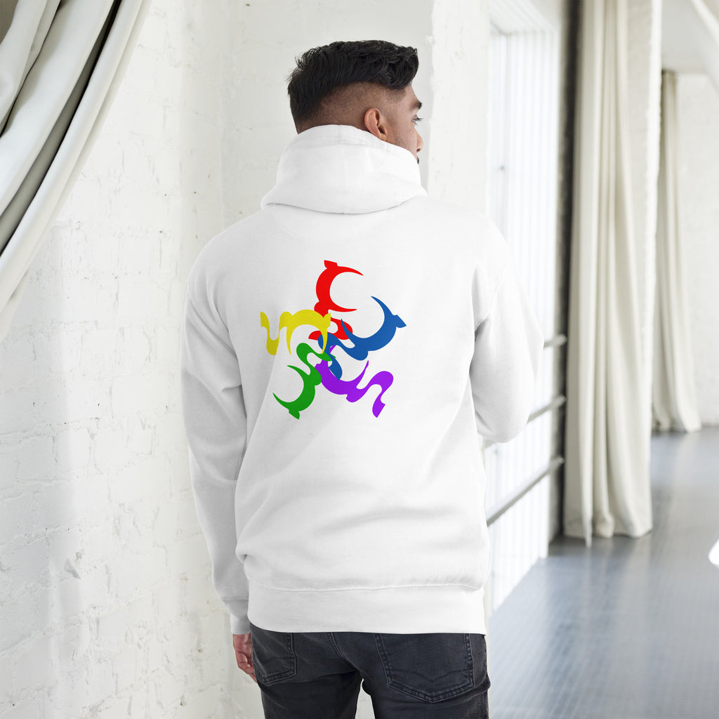 UNDERSTANDING MULTICOLORED UNISEX HOODIE IN 4 DIFFERENT COLORS