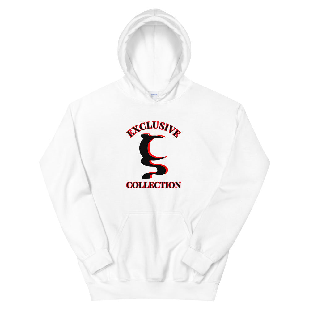 EXCLUSIVE UN COLLECTION UNISEX HOODIE IN 5 DIFFERENT COLORS