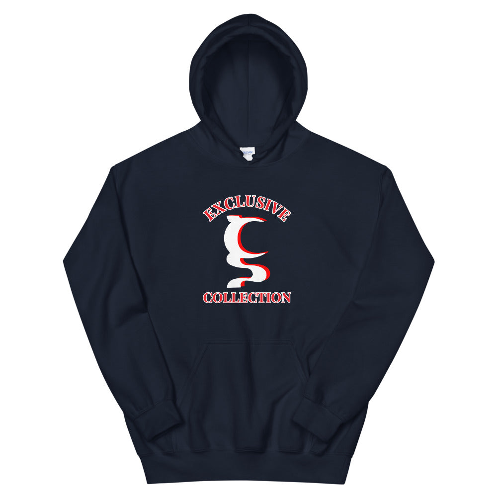 EXCLUSIVE UN COLLECTION UNISEX HOODIE IN 5 DIFFERENT COLORS