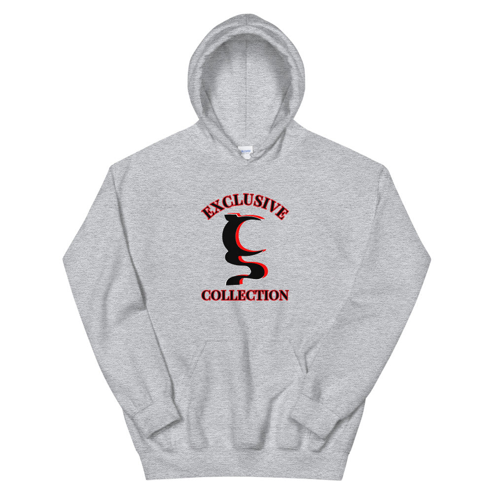 EXCLUSIVE UN COLLECTION UNISEX HOODIE IN 5 DIFFERENT COLORS