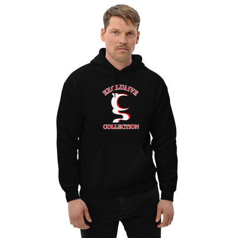 EXCLUSIVE UN COLLECTION UNISEX HOODIE IN 5 DIFFERENT COLORS