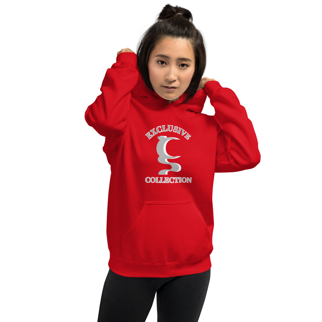 EXCLUSIVE UN COLLECTION UNISEX HOODIE IN 5 DIFFERENT COLORS