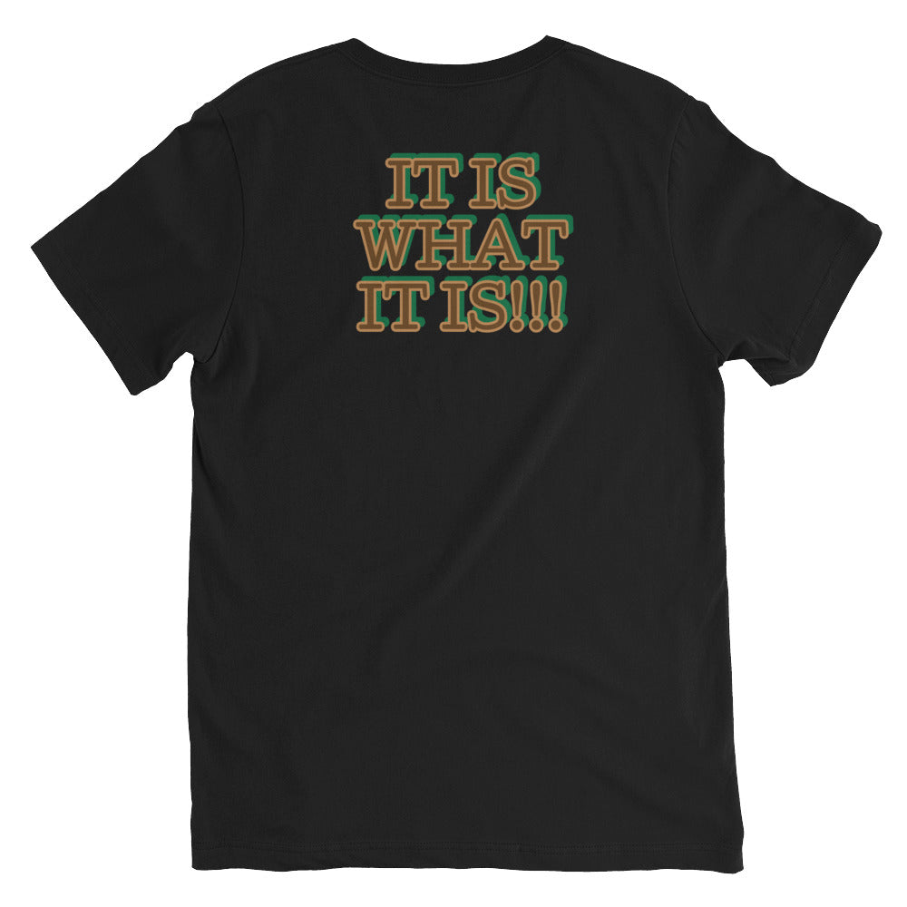 UNfiltered Unisex V-Neck T-Shirt *