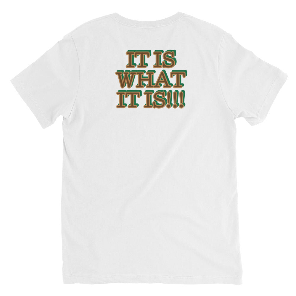 UNfiltered Unisex V-Neck T-Shirt *